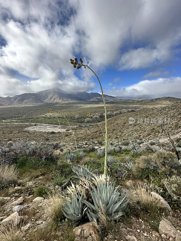 Pacific Crest Trail view